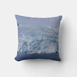 Frozen Beauty Throw Pillow