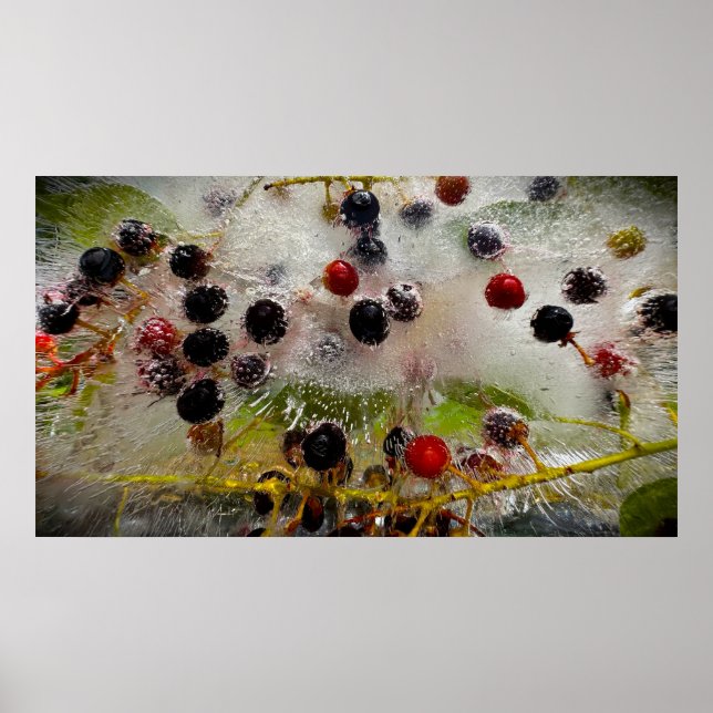 Frozen Berries,  Poster (Front)
