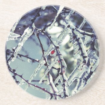 Frozen Berry Coaster by lynnsphotos at Zazzle