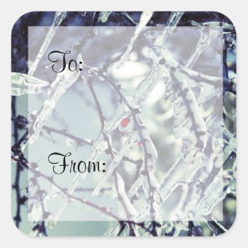 Frozen Berry Gift Tag Sticker by lynnsphotos at Zazzle