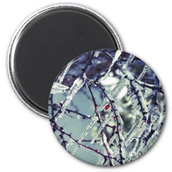 Frozen Berry Magnet by lynnsphotos at Zazzle