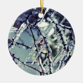 Frozen Berry Ornament by lynnsphotos at Zazzle