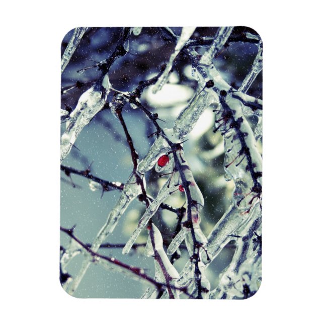 Frozen Berry Premium Magnet (Vertical)