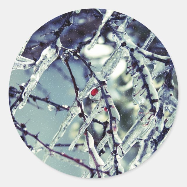 Frozen Berry Sticker (Front)