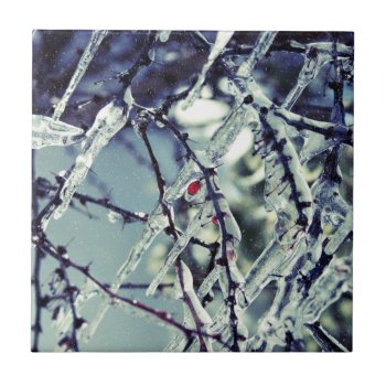 Frozen Berry Tile by lynnsphotos at Zazzle