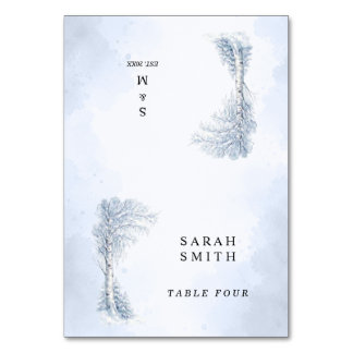 Frozen Birch Tree Wedding Place Cards