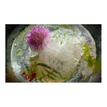 Frozen Blossoms,