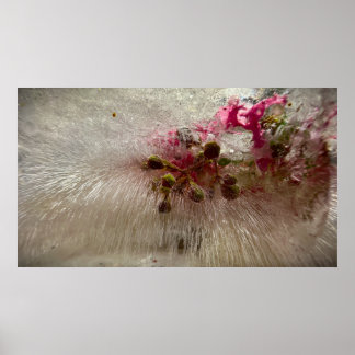 Frozen Blossoms, Poster
