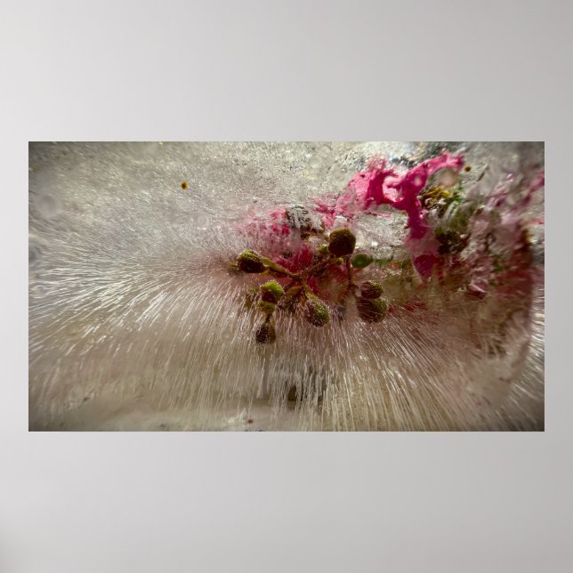 Frozen Blossoms,  Poster (Front)