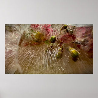 Frozen Blossoms, Poster