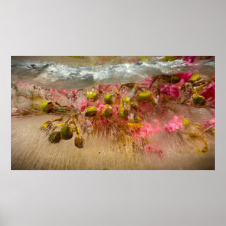 Frozen Blossoms, Poster