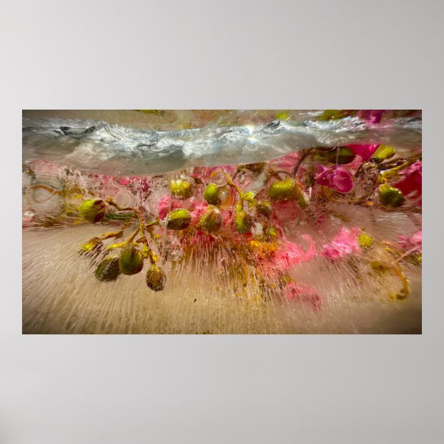 Frozen Blossoms,  Poster (Front)