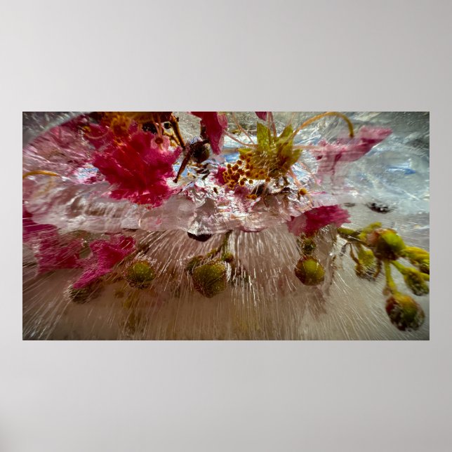 Frozen Blossoms,  Poster (Front)