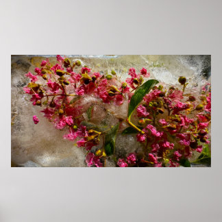 Frozen Blossoms, Poster