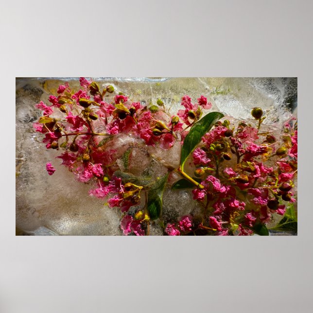 Frozen Blossoms,  Poster (Front)