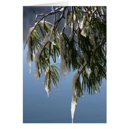 Frozen Branch Cards (Front)
