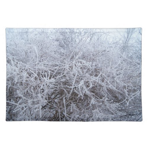 Frozen Branches Winter Scene Placemats