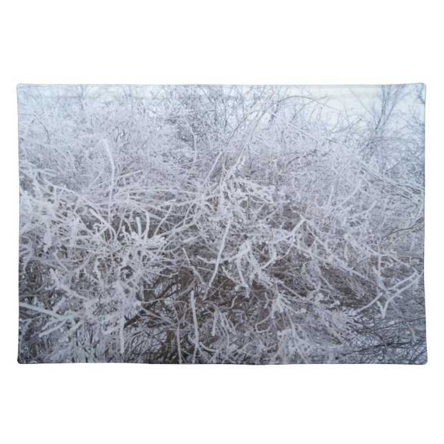 Frozen Branches Winter Scene Placemats (Front)