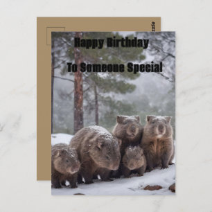 Frozen Burrow: Australian Wombat Family, Birthday Postcard