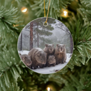 Frozen Burrow: Australian Wombat Family Ceramic Ornament