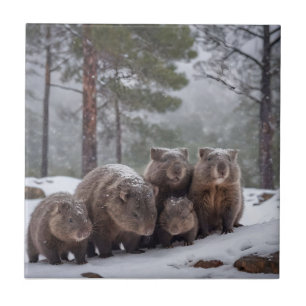 Frozen Burrow: Australian Wombat Family Ceramic Tile