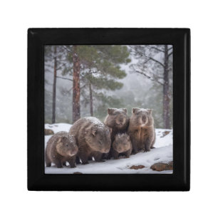 Frozen Burrow: Australian Wombat Family Gift Box