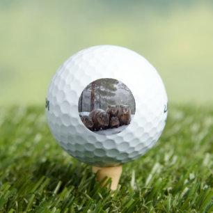 Frozen Burrow: Australian Wombat Family Golf Balls