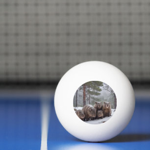 Frozen Burrow: Australian Wombat Family Ping Pong Ball