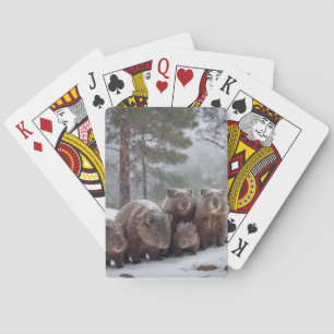 Frozen Burrow: Australian Wombat Family Poker Cards