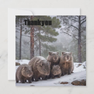 Frozen Burrow: Australian Wombat Family Thank You Card