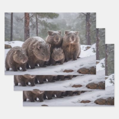 Frozen Burrow: Australian Wombat Family Wrapping Paper Sheets