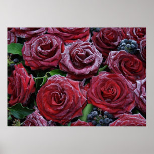 Frozen Dark Red Roses On A Grave Poster