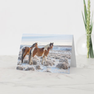 "Frozen Dawn" Holiday Card