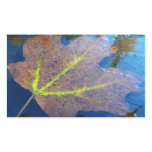 Frozen Fall Maple Leaf Late Autumn Nature Rectangular Sticker