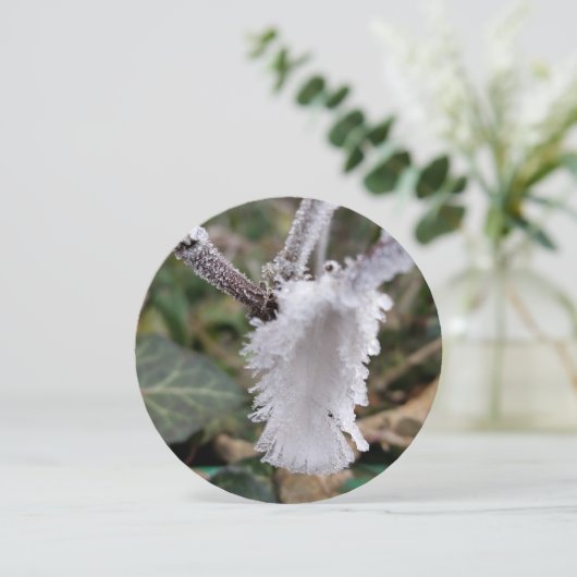 frozen feather (Standing Front)