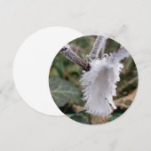 frozen feather (Front/Back)