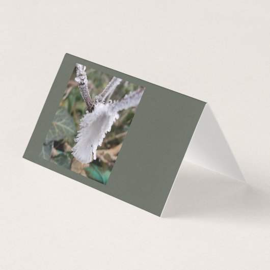 frozen feather (Front)