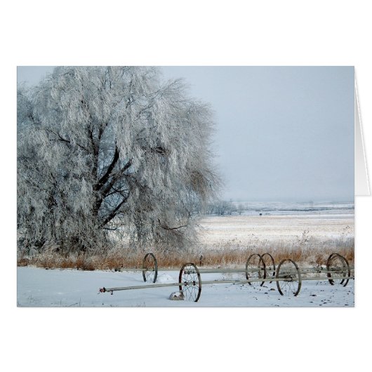 Frozen Field (Front Horizontal)