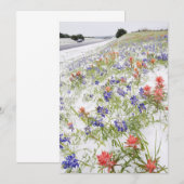 Frozen Flowers (Front/Back)