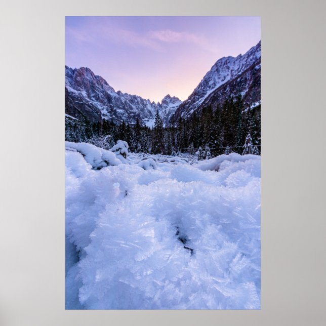 Frozen foliage and mountains at sunset poster (Front)