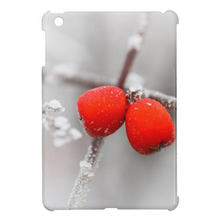 Frozen Fruit iPad Mini Cover