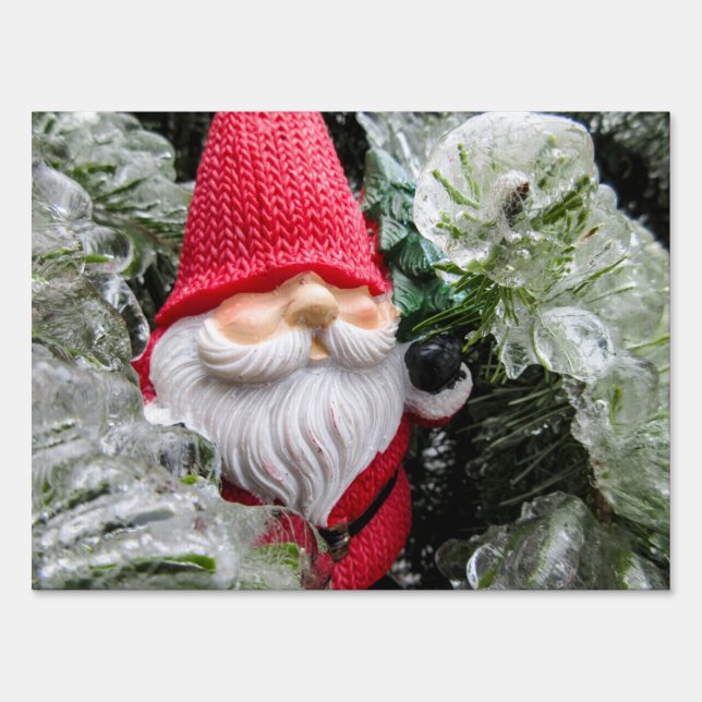 Frozen Gnome 03 Sign (Front)