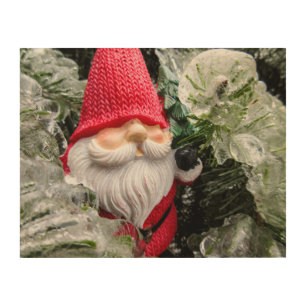 Frozen Gnome 03 Wood Wall Art