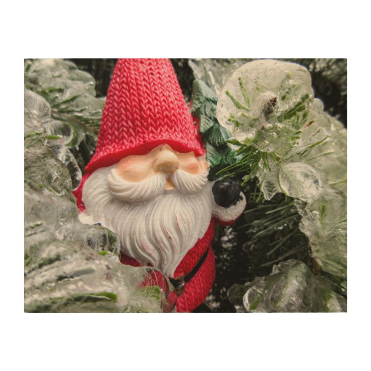 Frozen Gnome 03 Wood Wall Art Zazzle