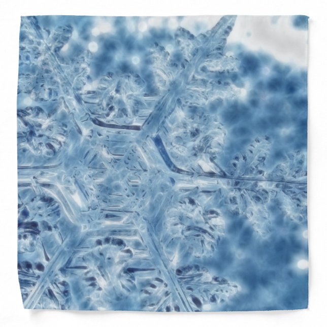 Frozen Ice Crystal Fractal Snowflake Bandana (Front)
