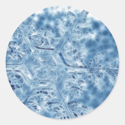 Frozen Ice Crystal Fractal Snowflake Classic Round Sticker