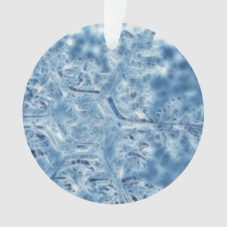 Frozen Ice Crystal Fractal Snowflake Ornament