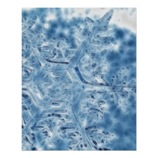 Frozen Ice Crystal Fractal Snowflake Poster