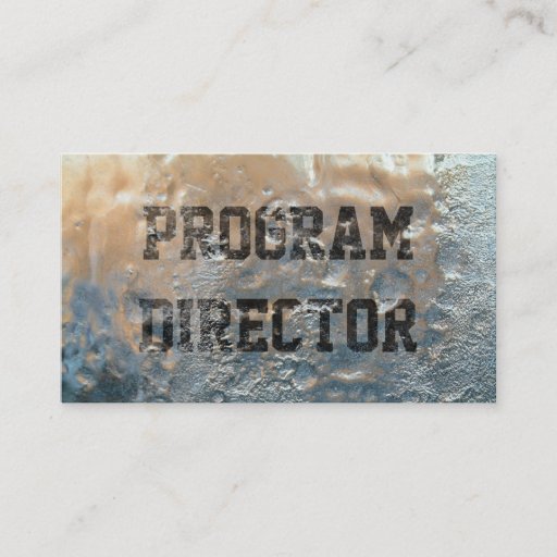 Customizable Frozen Ice Program Director Business Card