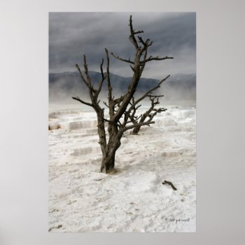 Frozen In Time Poster by glo53bug at Zazzle